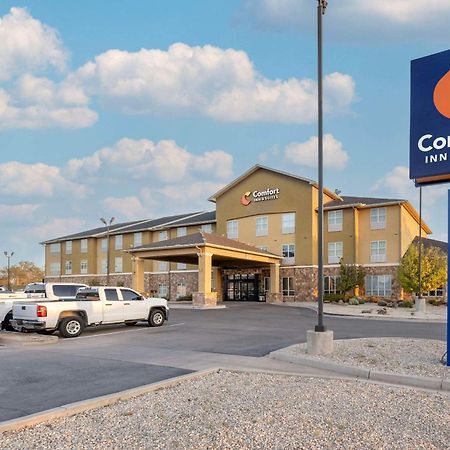 Comfort Inn & Suites Artesia Exterior photo