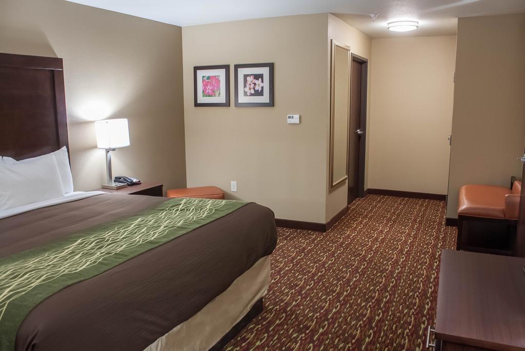 Comfort Inn & Suites Artesia Room photo