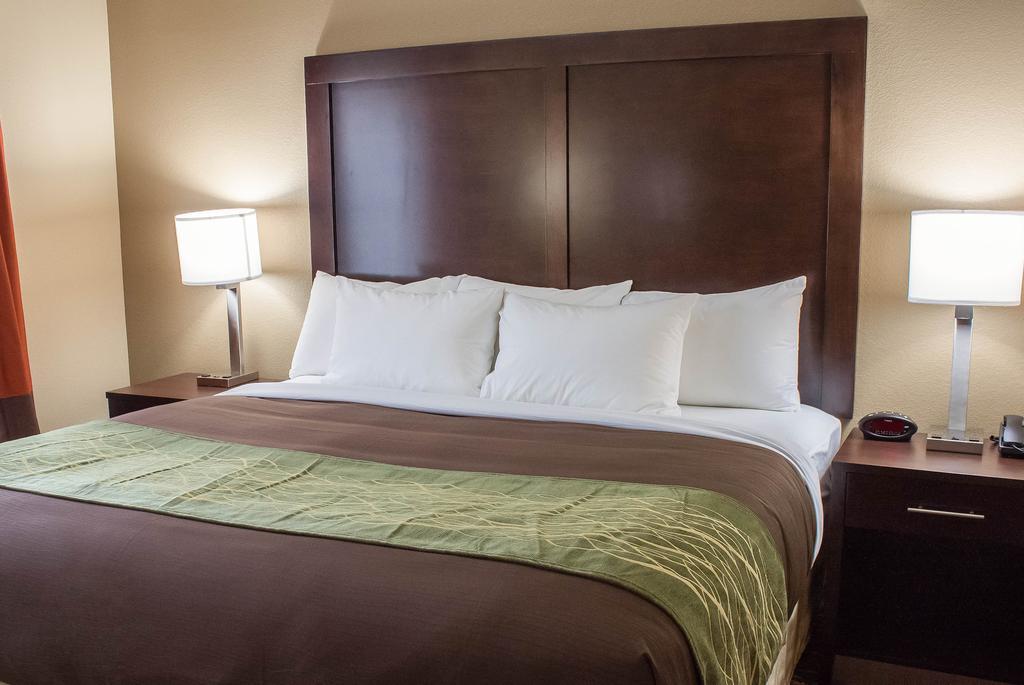 Comfort Inn & Suites Artesia Room photo