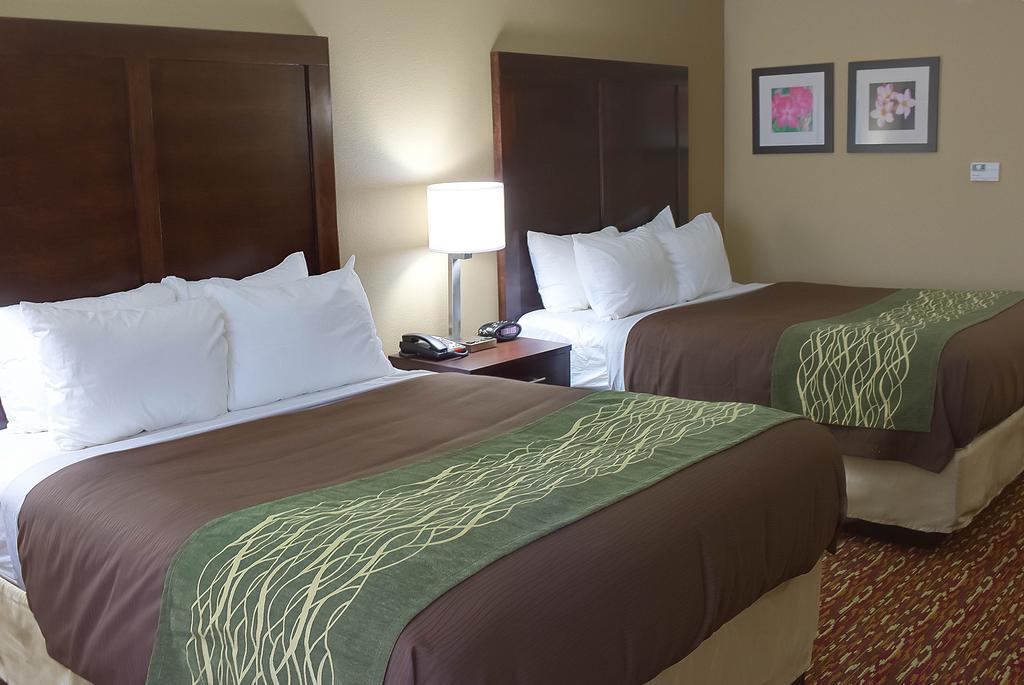 Comfort Inn & Suites Artesia Room photo