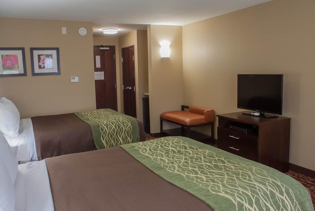 Comfort Inn & Suites Artesia Room photo
