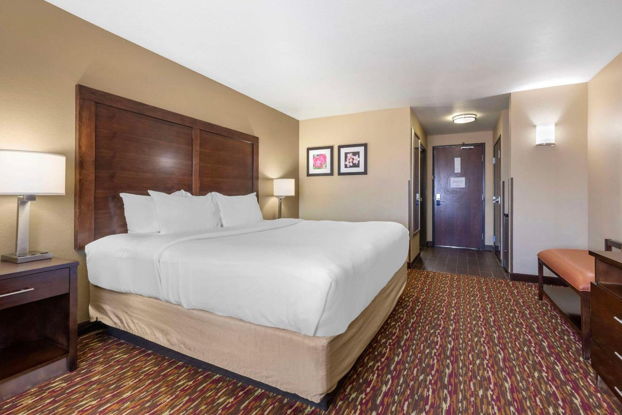 Comfort Inn & Suites Artesia Exterior photo