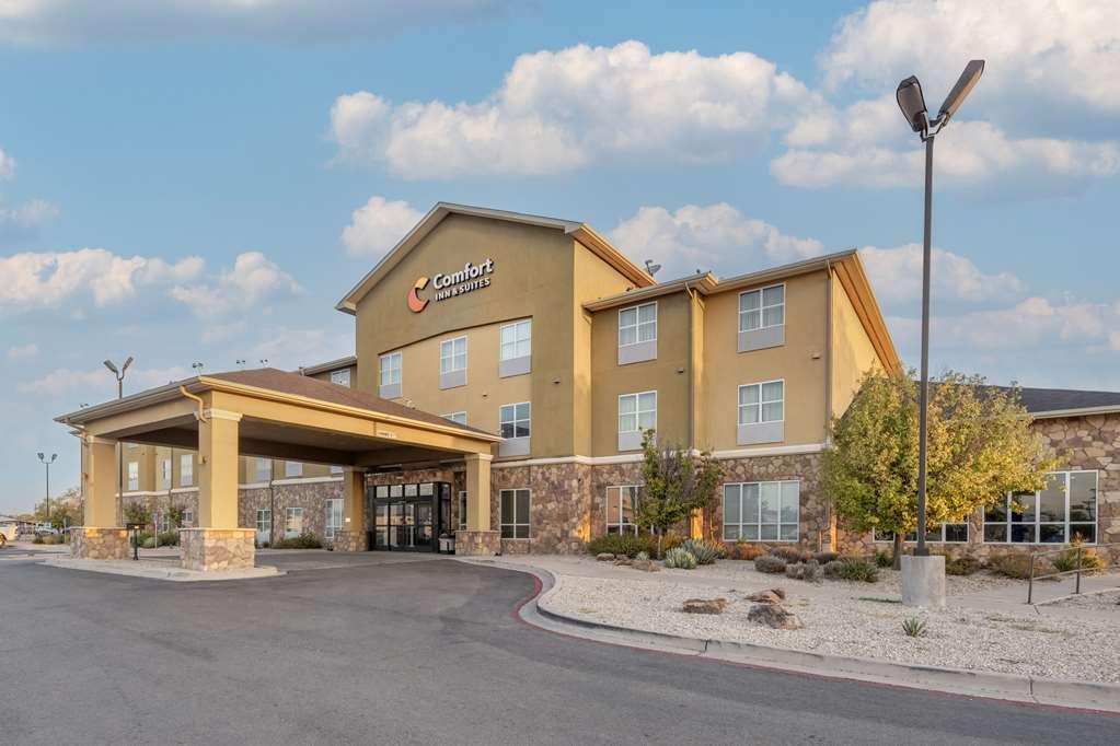 Comfort Inn & Suites Artesia Exterior photo