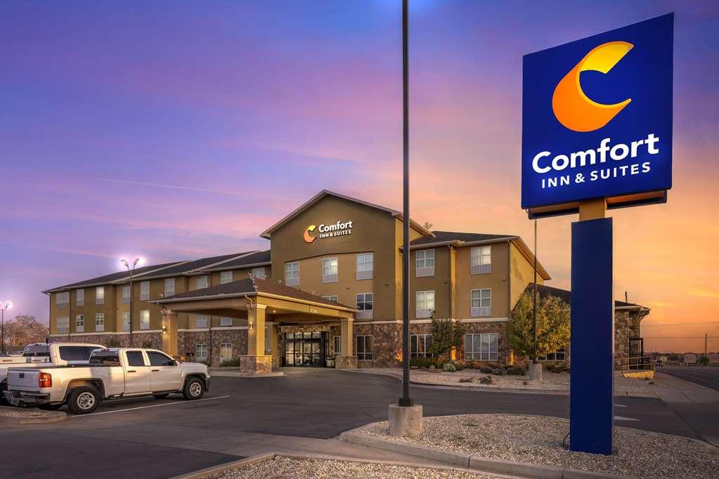 Comfort Inn & Suites Artesia Exterior photo